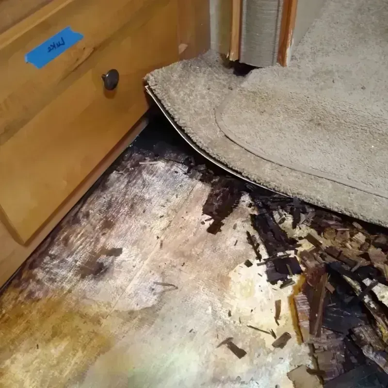 Wood Floor Water Damage in Ripley, MS